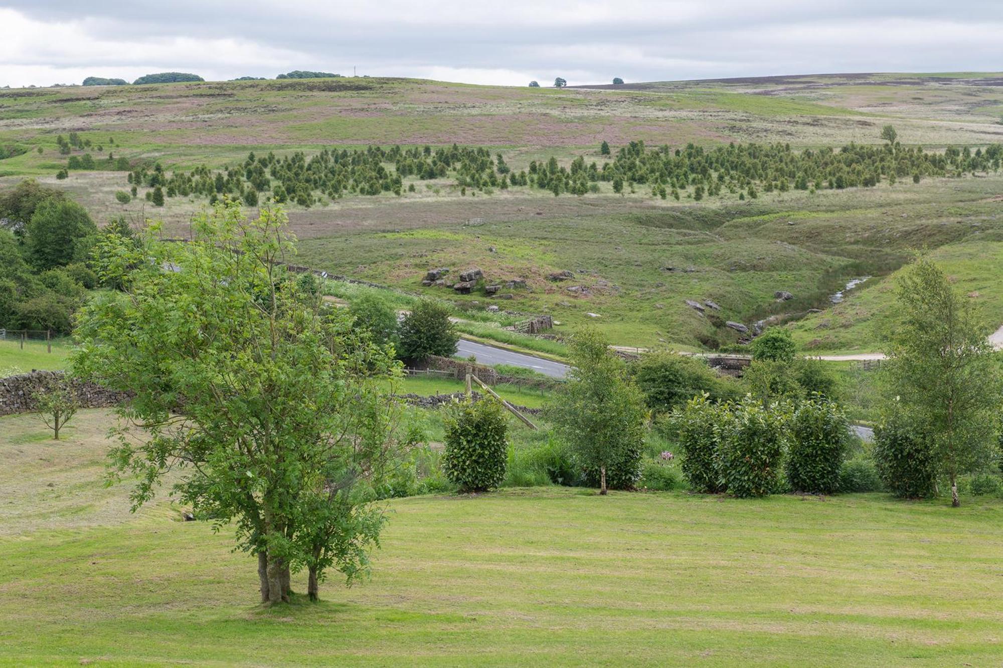 בזלאו Moorland View Lodge מראה חיצוני תמונה